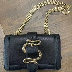 Snake Buckle Chain Shoulder Bag
